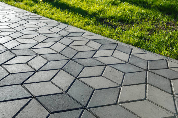 Best Commercial Driveway Pavers  in Park River, ND