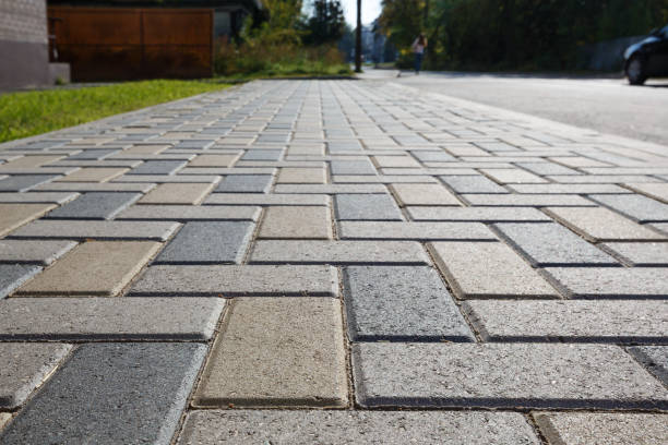 Best Best Driveway Pavers  in Park River, ND