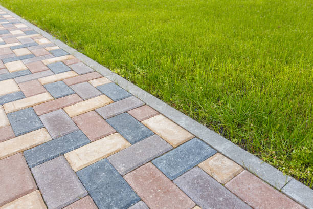 Best Professional Driveway Pavers  in Park River, ND